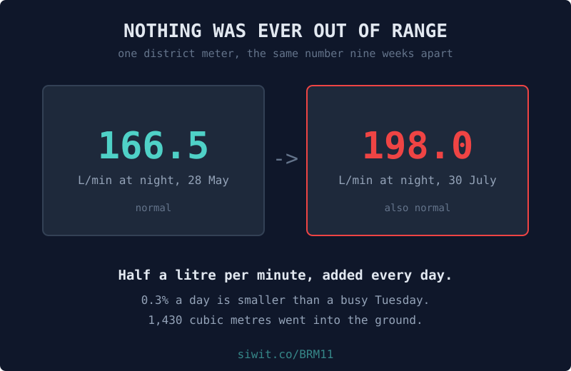 Nothing Was Ever Out of Range: Ten Weeks of a Leak Growing hero image