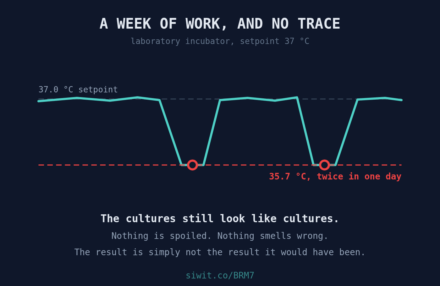 The Excursion Nobody Saw: When an Incubator Quietly Invalidates a Week hero image