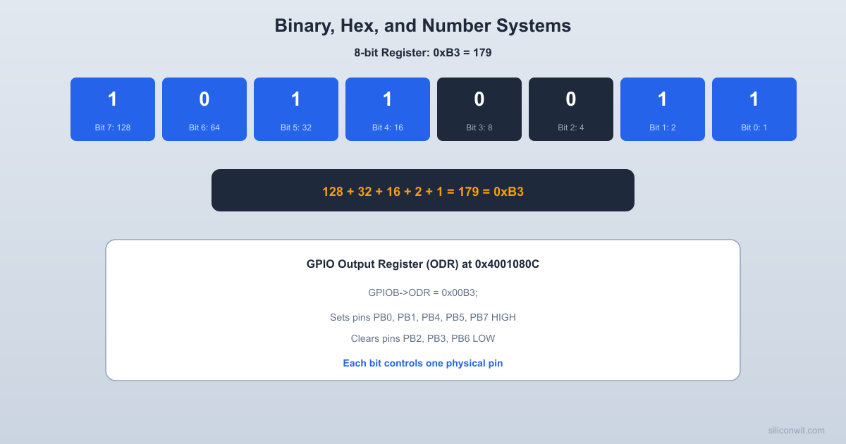 Binary, Hex, and Number Systems hero image