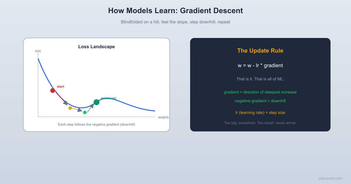 How Models Learn: Gradient Descent hero image